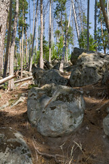 summer, day, walk, nature, sky, clouds, space, height, distance, forest, trees, pines, green, crowns, foliage, grass, elevation, slopes, earth, shapeless, stone, boulders, blocks, moss, light, shadow
