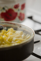 View of cooker with frying pan filled with fried potatoes