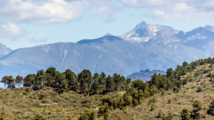 Panorama sur la baie des anges, Nice et le Mercantour depuis le Mont Macaron dans les Alpes Maritimes