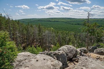 summer, day, walk, nature, sky, clouds, space, height, distance, forest, trees, pines, green, crowns, foliage, grass, elevation, slopes, earth, shapeless, stone, boulders, blocks, moss, light, shadow