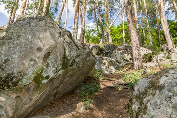 summer, day, walk, nature, sky, clouds, space, height, distance, forest, trees, pines, green, crowns, foliage, grass, elevation, slopes, earth, shapeless, stone, boulders, blocks, moss, light, shadow