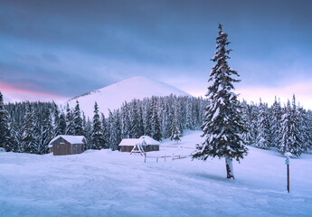 Morning valley with snow covered fir trees