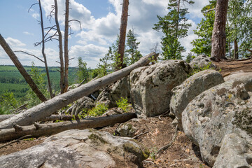 summer, day, walk, nature, sky, clouds, space, height, distance, forest, trees, pines, green, crowns, foliage, grass, elevation, slopes, earth, shapeless, stone, boulders, blocks, moss, light, shadow