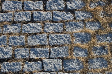 Brick texture with relief and some dry herbs. A gray brick ground with sunshine.