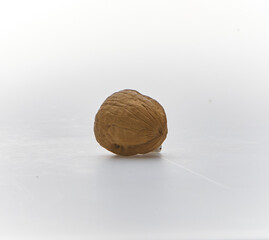 A walnut shot on white background