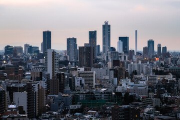 Fototapeta na wymiar 東京 文京シビックセンター 展望ラウンジからの景色 池袋方面 曇天