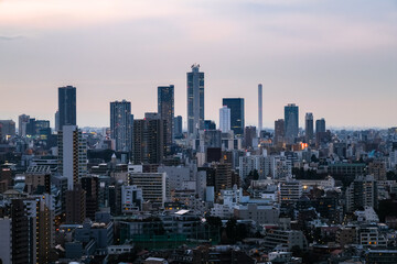 Fototapeta na wymiar 東京 文京シビックセンター 展望ラウンジからの景色 池袋方面 曇天