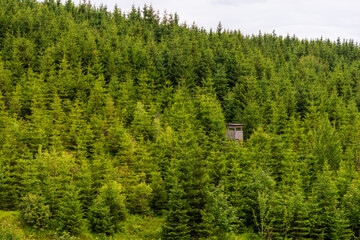 Hochstand im Naturschutzgebiet Tannermoor im Mühlviertel Oberösterreich
