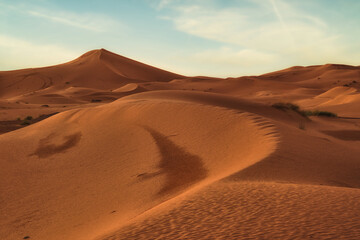 Fototapeta na wymiar sahara desert morocco. Desierto en Marruecos
