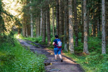 Naturschutzgebiet Tannermoor im Mühlviertel Oberösterreich mit Wanderer