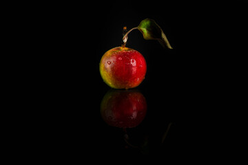 wild, fresh, red apple with water droplets on a black background
