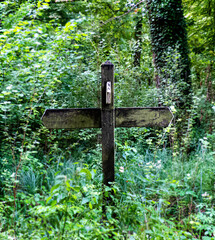 woodland signpost