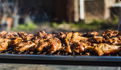 Grilled chicken breast. Copy space.