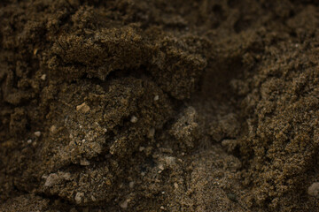 soil texture background