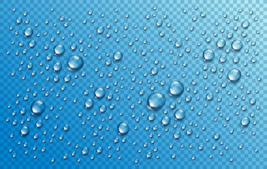 Fototapeta na wymiar Water rain drops or condensation in shower realistic transparent 3d vector composition over transparency checker grid, easy to put over any background or use droplets separately.