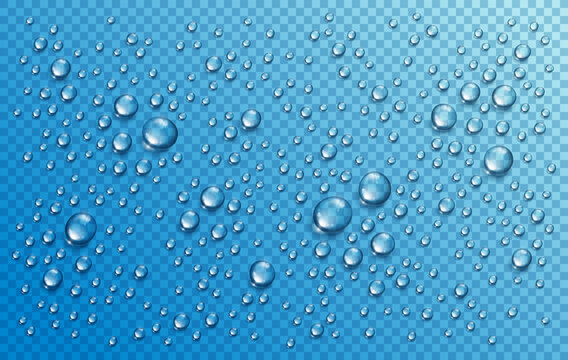 Water rain drops or condensation in shower realistic transparent 3d vector composition over transparency checker grid, easy to put over any background or use droplets separately.