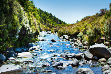 Mountain stream flowing over rocks amongst green banks