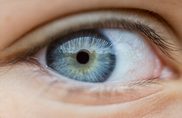 macro close-up detail of eyes