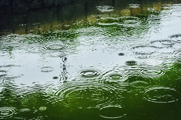 雨の落ちる水面 01