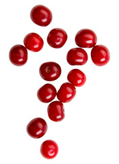 summer harvest of cherry isolated on white background. Summer Fruits. Sweet summer mood. Cherry berries on white background. Mock up for natural ptoduct.July color. Eco natural health dessert