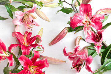Beautiful, red Lily flowers, scattered on a white background.