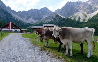 Eppzirlertal Karwendel