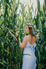 Portrait of attractive young caucasian female with short dark wavy hair in light blue summer dress keeps calm in the cornfield in the weekends