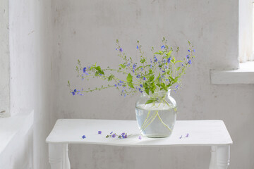 wild flowers veronica in jar in white vintage interior