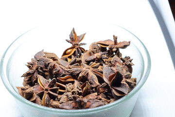 Parmotrema perlatum flowers isolated on white background