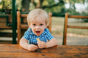 Picture of little caucasian boy in blue summer clothes walks to the park in summer