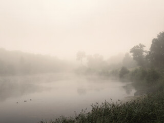Obraz na płótnie Canvas Morning summer landscape with fog over the lake