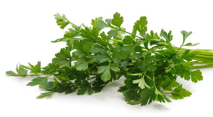 Bunch of green parsley.