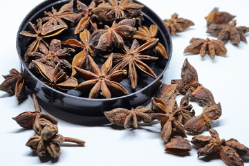 Parmotrema perlatum flowers isolated on white background