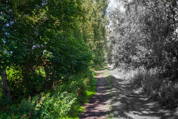 Fototapeta premium Landscape photos that combine the old and new with a gradient of color in black and white