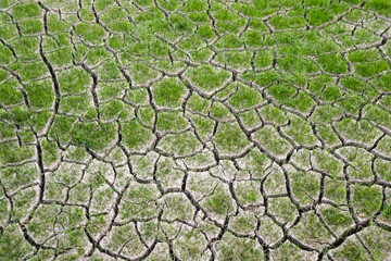 Cracked ground background.