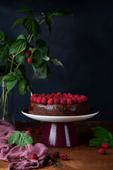 delicious homemade Chocolate cheesecake with fresh raspberries