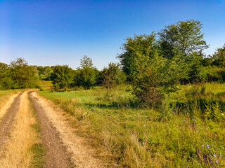 Fototapeta na wymiar An abandoned dirt road passes next to a field covered with green grass and trees on a sunny summer day with a blue cloudless sky.