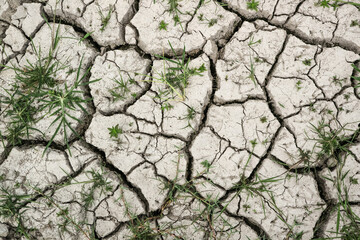 Closeup of dry soil with grass.