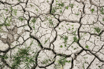 Closeup of dry soil with grass.