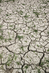 Closeup of dry soil with grass.