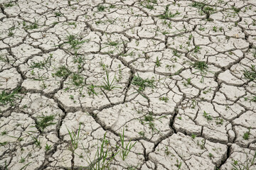 Closeup of dry soil with grass.