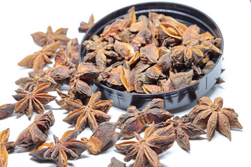 Parmotrema perlatum flowers isolated on white background