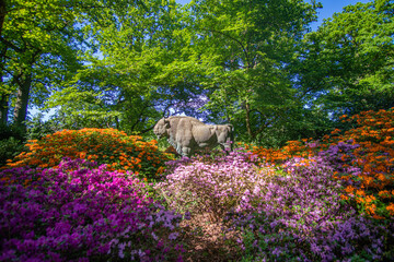 Bull Statue surrounded by beautiful blooming rhododendrons at Park in Bremen - obrazy, fototapety, plakaty