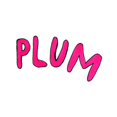 Hand drawn illustration of plum. Fruit lettering text isolated on white background. Organic fruit grown on the farm