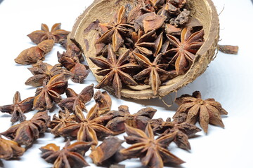 Parmotrema perlatum flowers isolated on white background