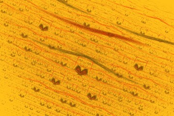 Abstract background for design and decoration. Christmas orange theme. Futuristic technological design.