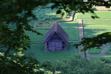 水田地帯にある古い物置