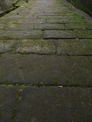 苔むした古い石畳