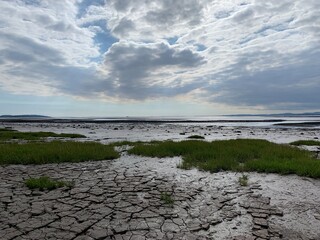 landscape of the river