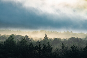 Morgennebel steigt bei Sonnenschein aus einem Bergwald auf